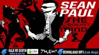 Sean Paul Ft Delirious - She Doesn&#39;t Mind  (Official Remix) HD
