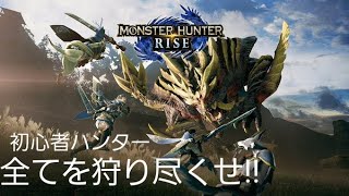 [モンハンライズ] 途中でヴァロとかやるかも　フレ次第