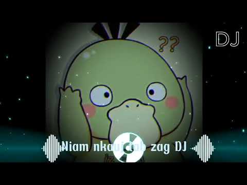 Niam nkauj tab zag [DJ Nkauj Remix  Nkauj Hmoob EDM]