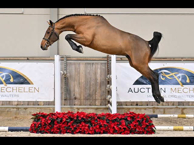 Aventi Van’t Gobenhof