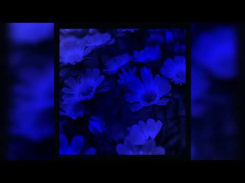 Dark Beach 2 (Phonk Slowed) - MRL