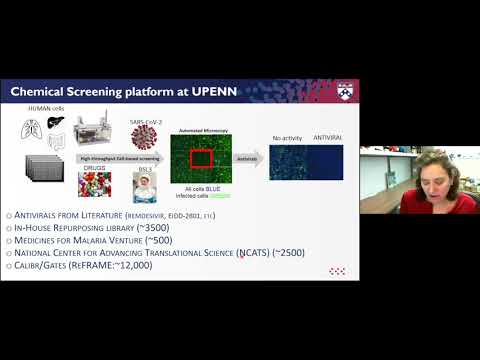 Sara Cherry, Virtual COVID-19 Symposium: January 20, 2021