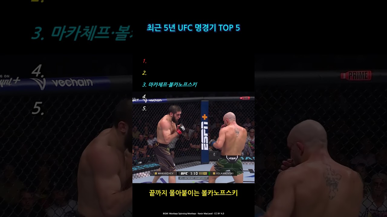 이 순위 인정, 최근 5년 UFC 명경기