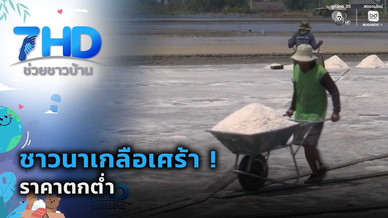 ชาวนาเกลือเศร้า ! ราคาตกต่ำ | เรื่องใหญ่ต้องขยาย