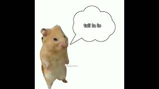 Download lagu lali la lo tali la lo mp3 Download lagu lali la lo tali la lo mp3