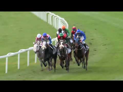 2022.11.06. 07. futam - FARKAS FERENC EMLÉKVERSENY - LOVAREGYLETI DÍJ (HUN Gd-2)