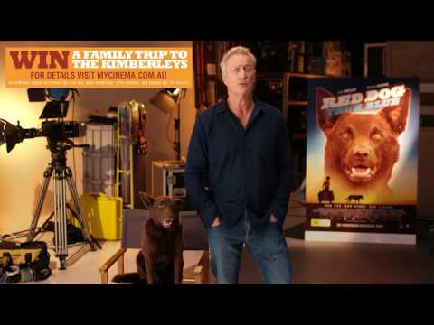 WIN a Holiday with Red Dog: True Blue