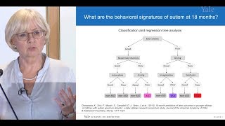 Autism Spectrum Disorder in Infants and Toddlers