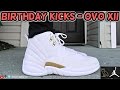 View 14 Jordan 12 Ovo Drake