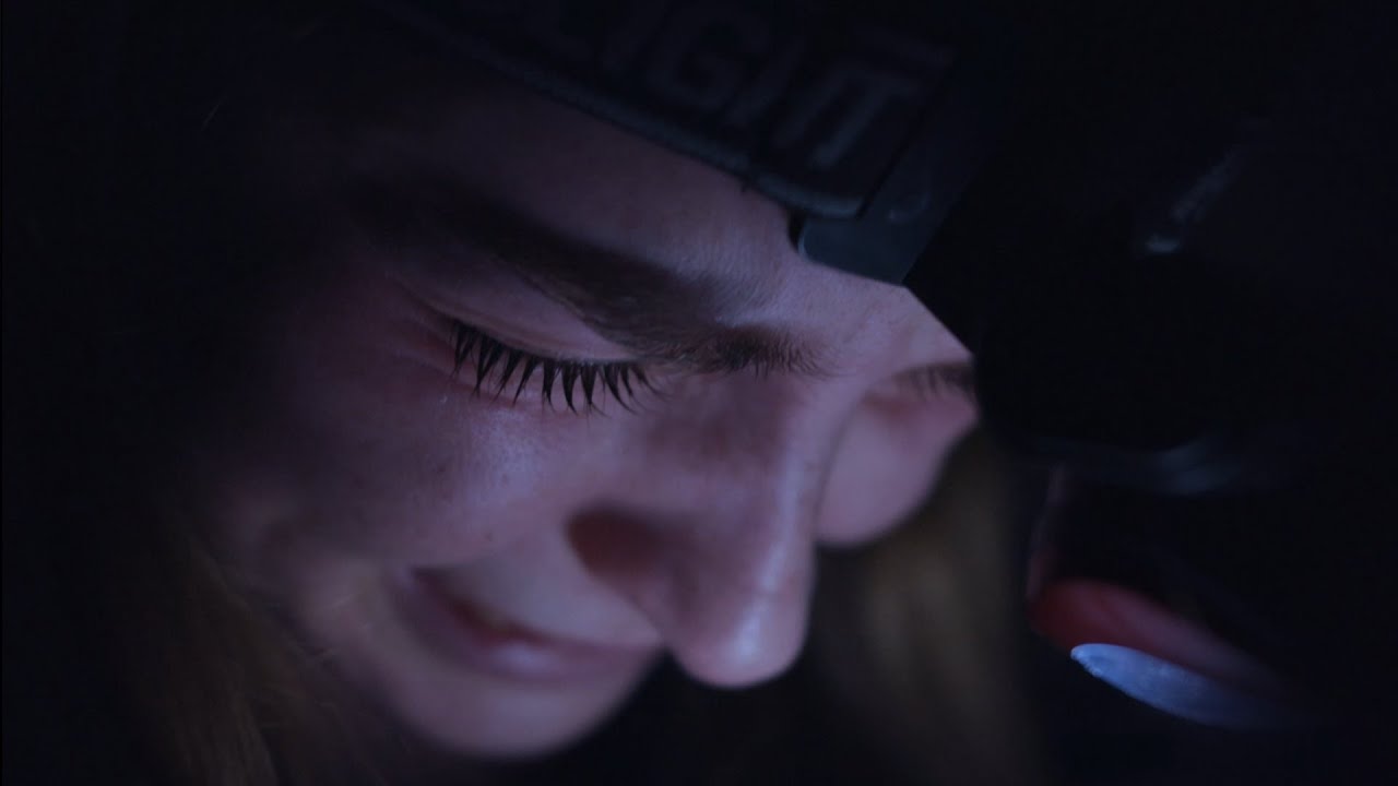 A Bird on the Brink of Death | A Short about Birds brinking on death