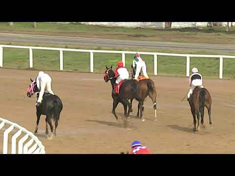 CARRERAS SINT PAYSANDU 210624 c04- 1° GLUTEN FREE