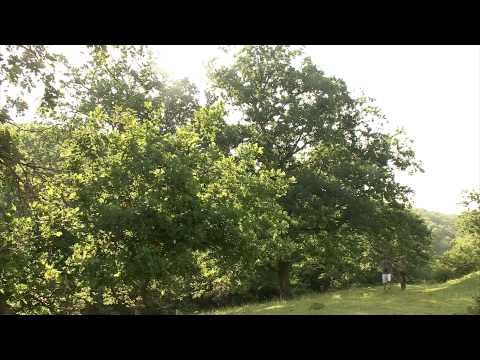 Muntii Bodoc Baraolt