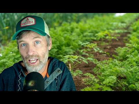 April No-Till Market Garden: Germination Perfected