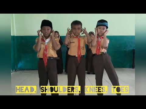 Medley Songs: Finger Family & Head, Shoulders, Knees and Toes.
