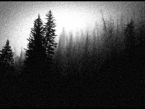 Ave Morphys -  Triste Desilución