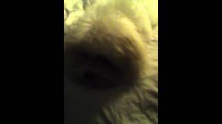 The big bad vicious machine