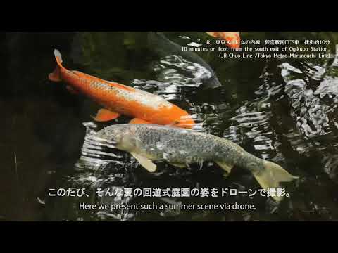 東京・杉並　荻窪の大田黒公園