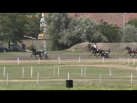 Trka "Kvalifikacija za Derby-I" 01.08.2021 Marko - Dalibor Suknović