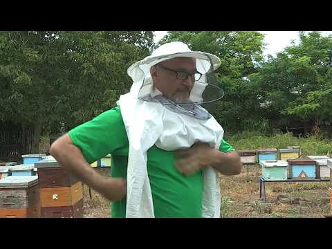 Boja meda ep. 72 23.07.2019. NAJAVA