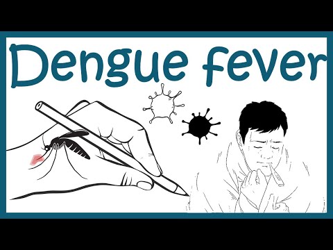 Dengue fever || Dengue virus and  pathophysiology