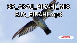 Download lagu sp Akau biarahi mix bja birahi mp3 Download lagu sp Akau biarahi mix bja birahi mp3