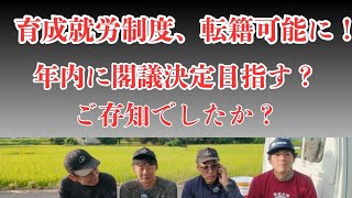 Is there a plan to increase the number of foreign workers in agriculture and primary industries? ...