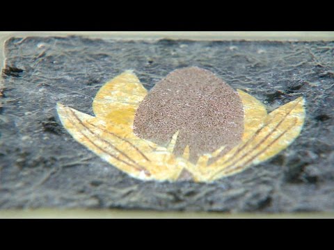 Kalamazoo Lively Arts - Arts & Artifacts Glass Studio