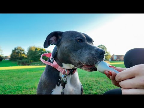 She Just Couldn’t Resist! | Vlog 42