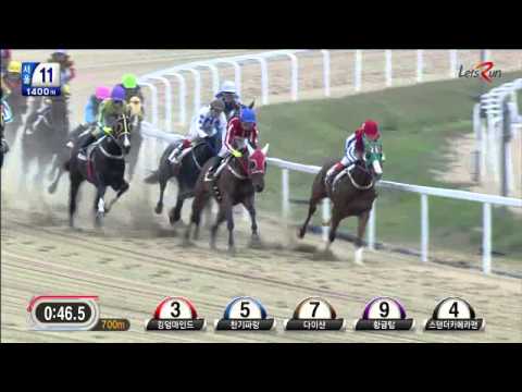 14 0511 s11 복30 2배 적중