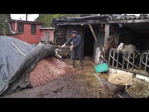 Frans Zwaagstra druk aan het werk