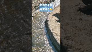 【水音】心地よい水の流れ  #水音  #水  #睡眠用