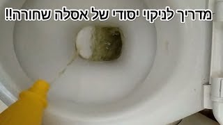 הטריק הפשוט איך להסיר אבנית שחורה מאסלה בקלי קלות!How to easily remove black scale from a toilet!