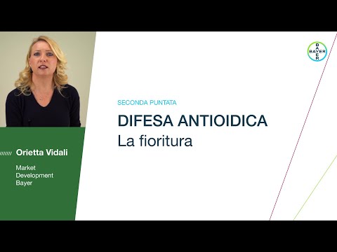 , title : 'Difesa Antioidica - La fioritura'