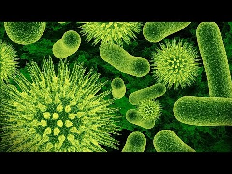Regeln der Prostata auf Ultraschall Dass der effeciency der Prostata