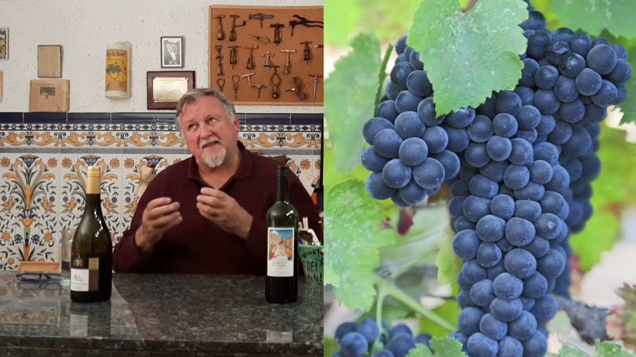 ¿Cuál es la diferencia entre Pinot Noir y Sauvignon?