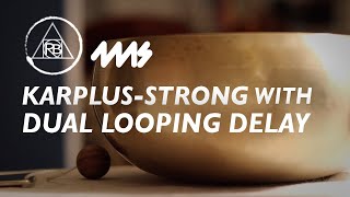 Video thumbnail for Dual Looping Delay (DLD) - Karplus-Strong & Looping by 4ms Company