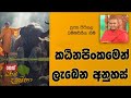 darma-dakshina-24-07-2019