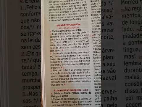 Salmo Responsorial 1 - Católica