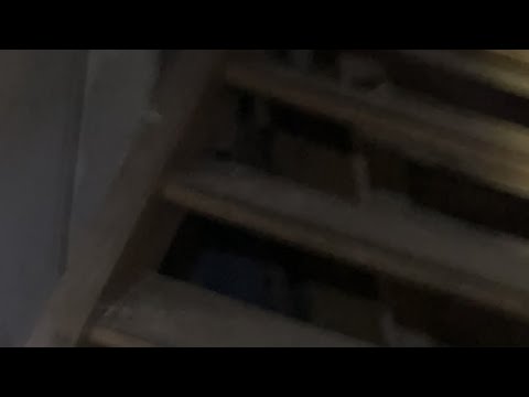 Turmfalken Beilngries geht live!