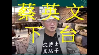 Re: [新聞] 民進黨最怕我.... 張亞中：鋪天蓋地扣帽子讓人毛骨悚然