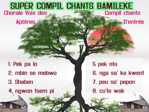 Compilation chants d'entrée en bamileké!!!