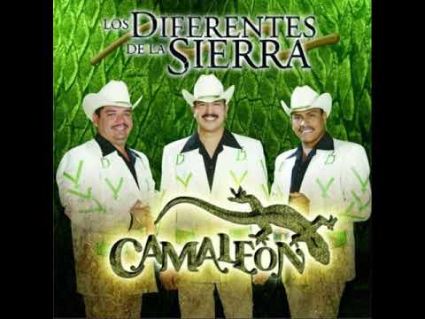 Los Diferentes de la Sierra El Camaleón