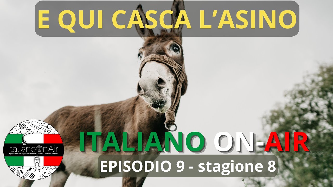 E qui casca l'asino - Episodio 9 (stagione 8)
