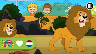 Dierentuin - DD Company