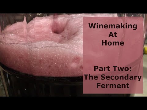Winemaking at Home Part Two: The Secondary Ferment