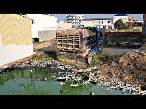 Starting A New Project!! Filling Land By Dump Truck Unloading soil with Mini Bulldozer