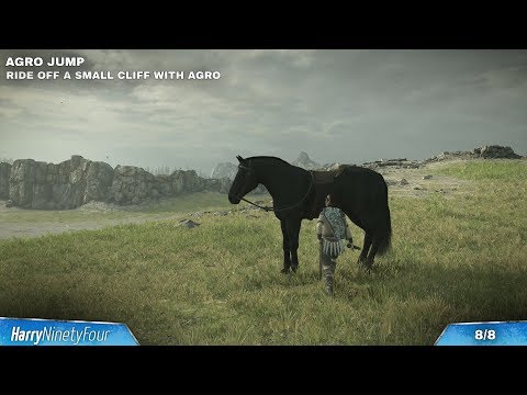 Shadow of the Colossus (PS4) - Trick Rider Trophy Guide (Perform All Stunts With Agro)