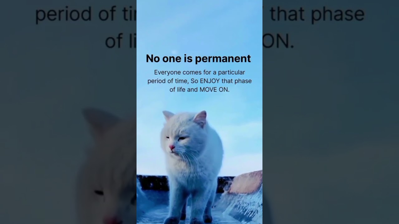 No One Is Permanent _ Life Changing Quotes