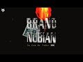 Brand Nubian Punks Jump Up To Get Beat Down