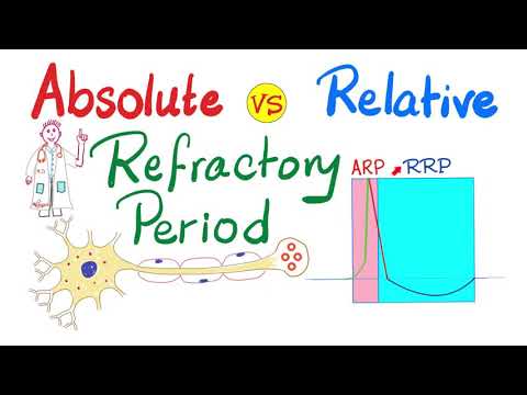 Absolute Refractory period vs Relative refractory period | ARP vs RRP | All-or-Non Law